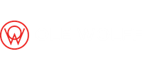 Ole Wolff Electronics Inc.